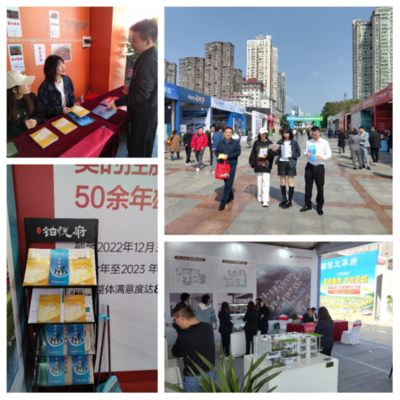 園區(qū)公積金助力岳陽惠民房交會，提供專業(yè)房地產(chǎn)咨詢服務(wù)